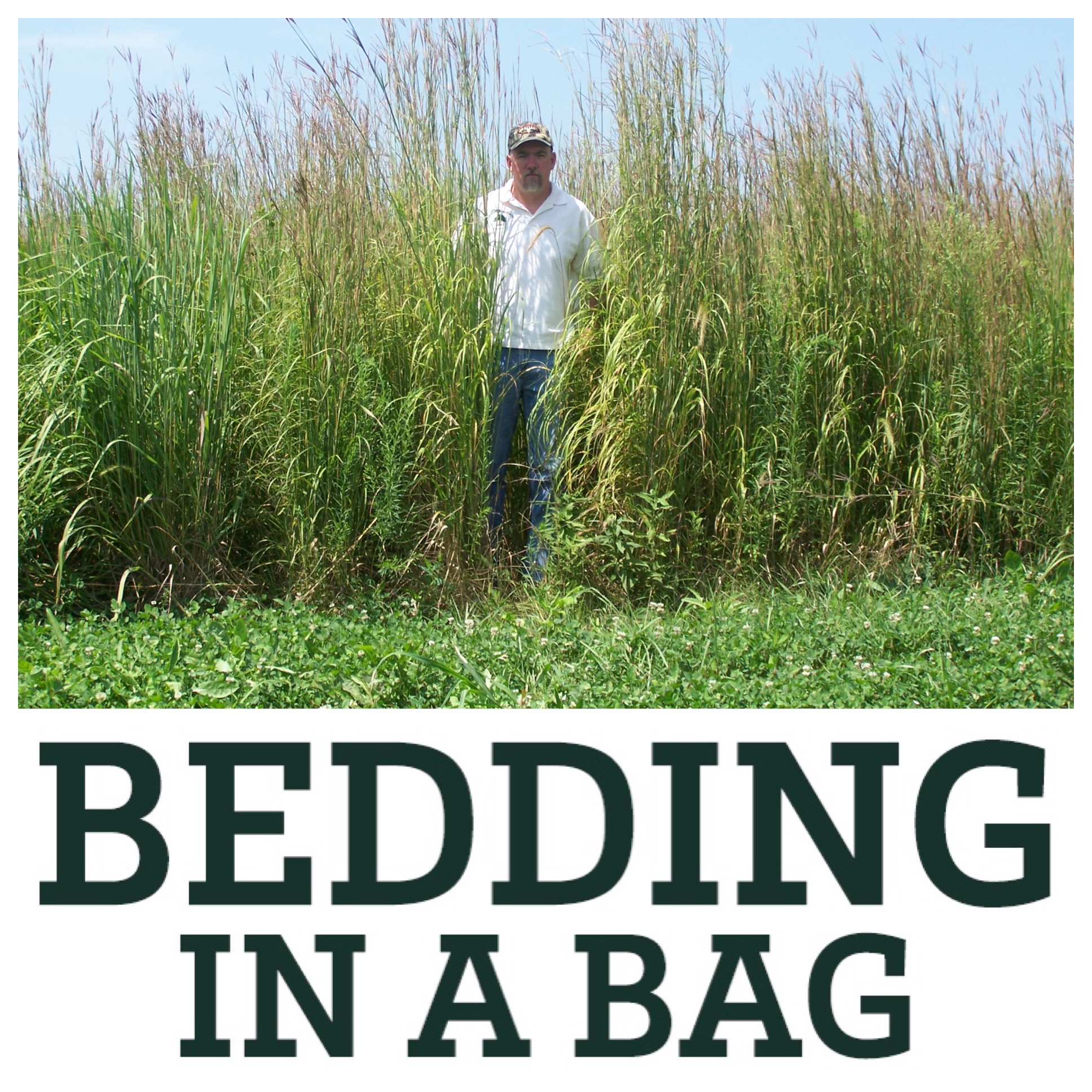 RWWP Bedding-In-A-Bag - Image 5