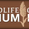 RWWP Wildlife Grain Sorghum Blend